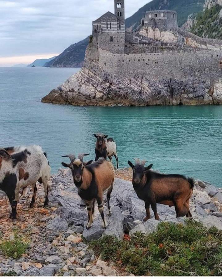 Apartmán Rebecca House La Spezia Exteriér fotografie